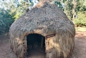 Nairobi: visita ao Museu Nacional, Karen Blixen e Bomas