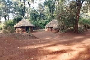 Nairobi: visita ao Museu Nacional, Karen Blixen e Bomas