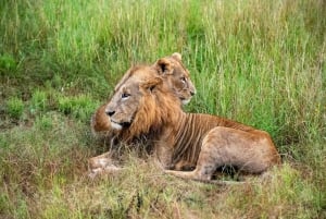 Nairobi: National Park 5Hours Game Drive with Hotel Pickup
