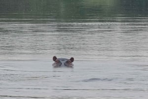 5-godzinna wycieczka samochodem terenowym 4x4 po Parku Narodowym w Nairobi