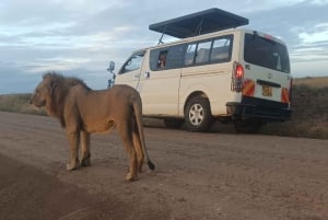 NAIROBI NATIONAL PARK AFTERNOON GAME DRIVE.