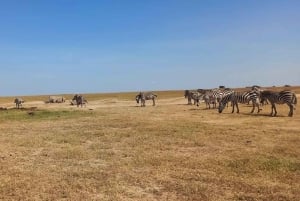 NAIROBI NATIONAL PARK AFTERNOON GAME DRIVE.
