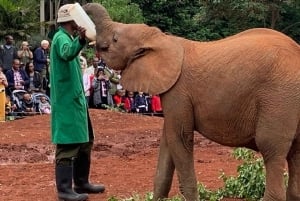 Parque nacional de Nairóbi e orfanato de elefantes