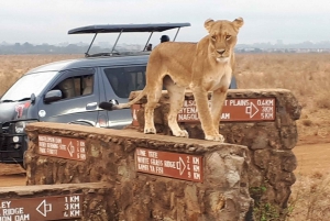 Nairobi: Tour Nationaal Park, babyolifant en giraffencentrum