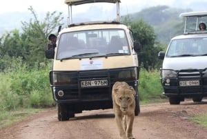 Nairobi: Park Narodowy, sierociniec dla słoni i centrum żyraf