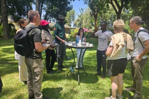 Nairobi: Park Narodowy, sierociniec dla słoni i centrum żyraf