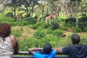 Parque Nacional de Nairóbi Orfanato de bebês elefantes Centro de girafas