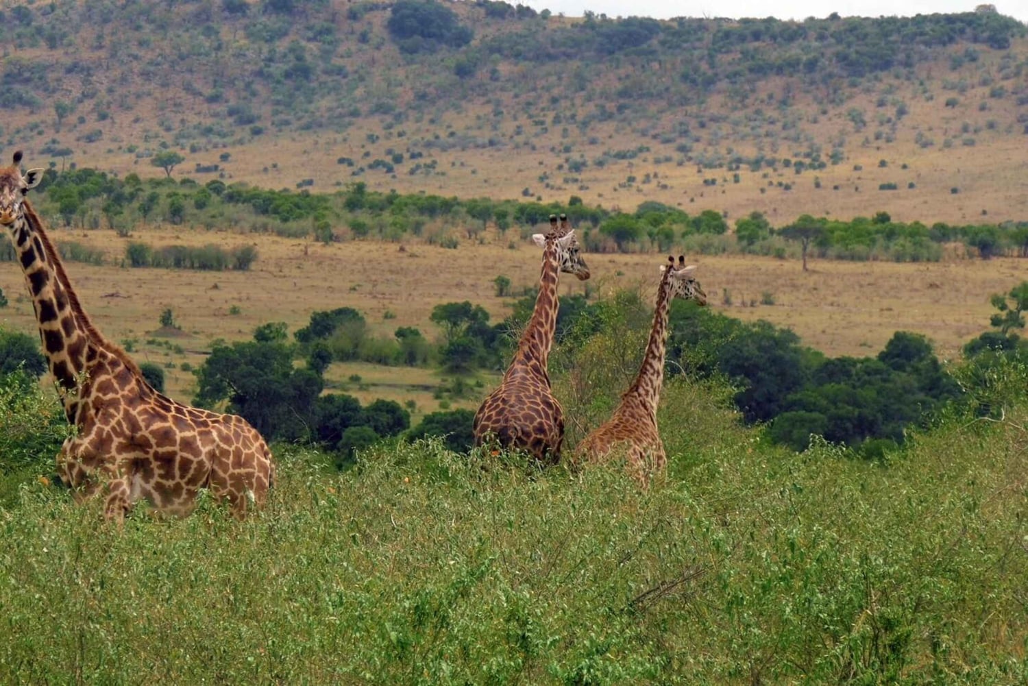 Nairobi-Nationalpark & Besuch einer Perlenfabrik