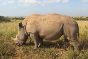 NAIROBI NATIONAL PARK BUDGET TOUR 6AM
