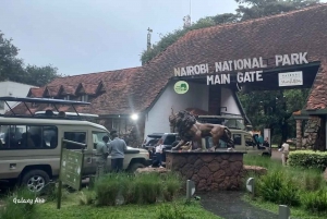 NAIROBI NATIONAL PARK BUDGET TOUR 6AM