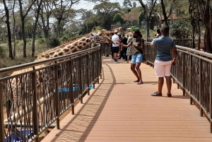 Nairobi national park,David sheldrick, Giraffe center