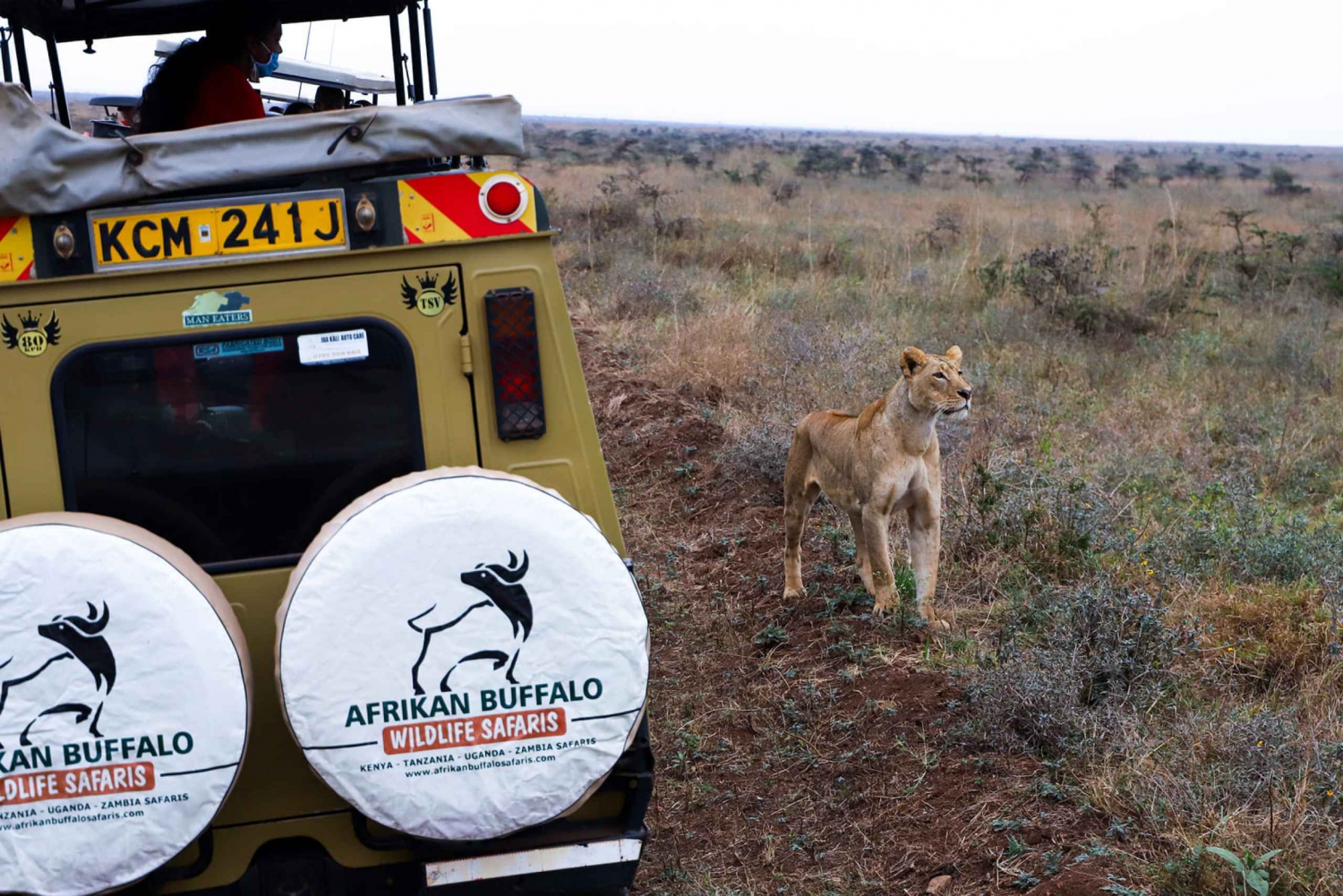 Nairobi National Park Day Trip