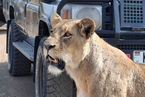 Park Narodowy Nairobi – wycieczka prywatna