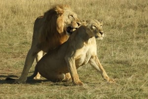 Park Narodowy Nairobi – wycieczka prywatna