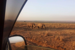 Nairobi National Park drive