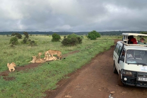 Nairobi National Park: Early Morning or Afternoon Game Drive
