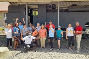 Nairobi: Parque Nacional Safári de manhã cedo ou à tarde