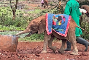 Nairobi national park, elephant, giraffe, and bomas of kenya