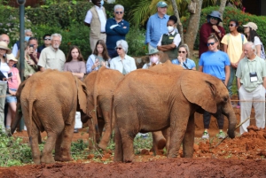 Nairobi national park, elephant, giraffe, and bomas of kenya