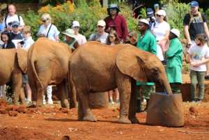 Nairobi national park, elephant, giraffe, and bomas of kenya