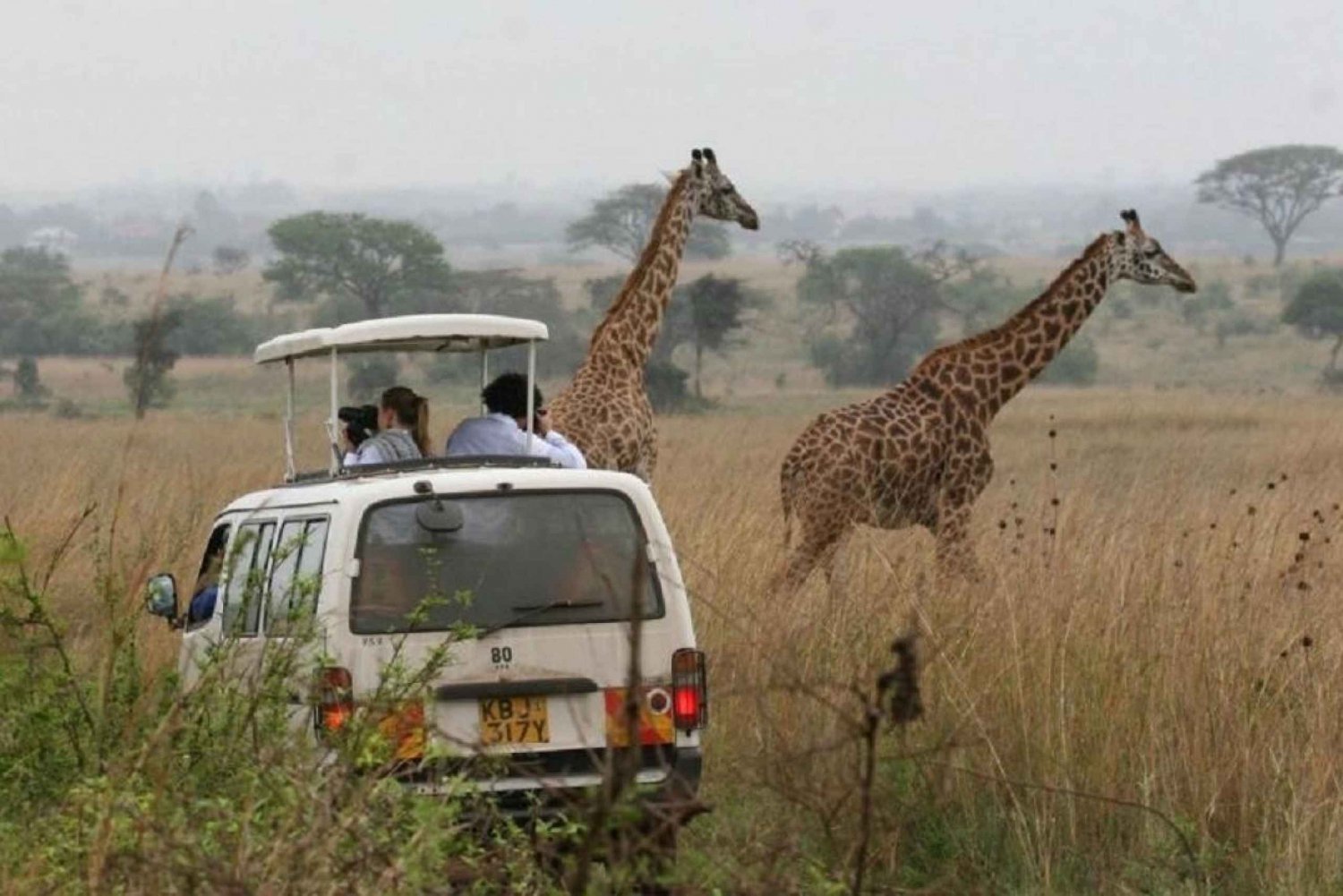 Nairobi Nationalpark, elefantbørnehjem og girafcenter