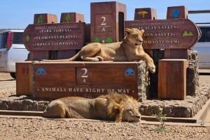 Nairobi Nationalpark, elefantbørnehjem og girafcenter