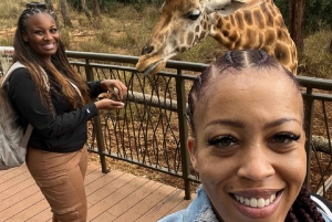 Nairobi Nationalpark, elefantbørnehjem og girafcenter