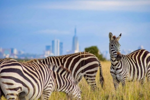 Nairobi National Park, Elefantenwaisenhaus und Giraffenzentrum