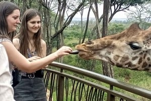 Parque Nacional de Nairóbi, Orfanato de Elefantes e Centro de Girafas