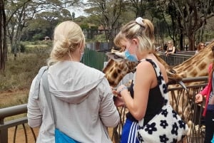 Nairobi: Nationaal Park, Olifantenweeshuis en Giraffe Tour
