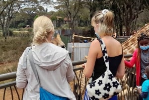Nairobi: Nationaal Park, Olifantenweeshuis en Giraffe Tour