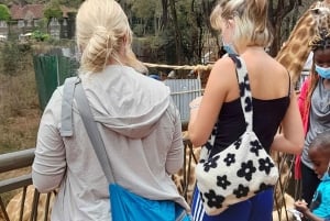 Nairobi: Nationaal Park, Olifantenweeshuis en Giraffe Tour