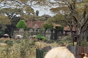 Nairobi: Nationaal Park, Olifantenweeshuis en Giraffe Tour