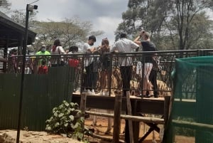 Nairobi: Nationaal Park, Olifantenweeshuis en Giraffe Tour
