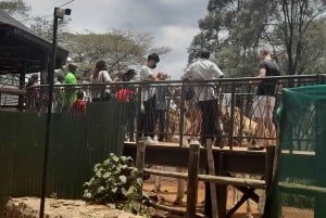 Nairobi: Nationaal Park, Olifantenweeshuis en Giraffe Tour