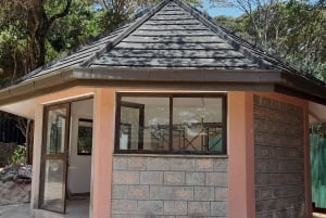 Nairobi: Nationaal Park, Olifantenweeshuis en Giraffe Tour