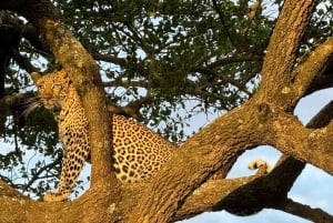 National Park, Elephant Orphanage & Giraffe Center