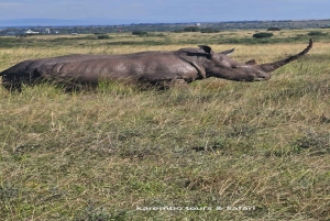 National Park, Elephant Orphanage & Giraffe Center