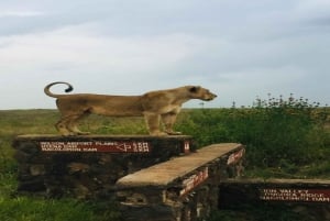 National Park, Elephant Orphanage & Giraffe Center
