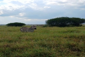 National Park, Elephant Orphanage & Giraffe Center