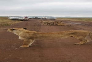 National Park, Elephant Orphanage & Giraffe Center
