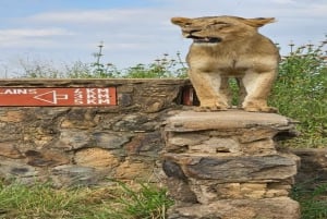 National Park, Elephant Orphanage & Giraffe Center
