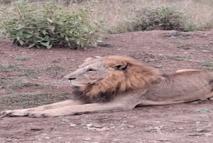 National Park, Elephant Orphanage & Giraffe Center