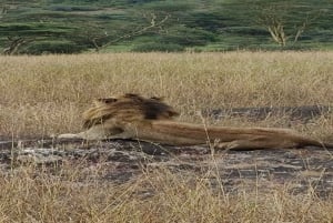 National Park, Elephant Orphanage & Giraffe Center