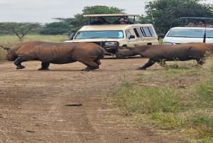 National Park, Elephant Orphanage & Giraffe Center
