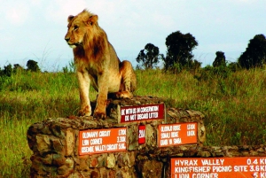 Nairobi: Park Narodowy, Schronisko dla Słoni i Centrum Żyraf