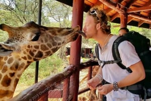 Nairobi: Nationalpark, elefantbørnehjem og girafcenter