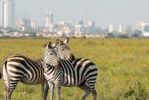 Nairobi: Nationalpark, elefantbørnehjem og girafcenter