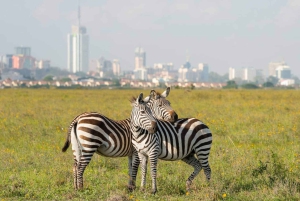 Nairobi: Park Narodowy, Schronisko dla Słoni i Centrum Żyraf