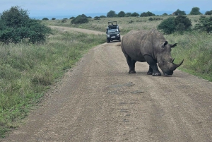 Nairobi: Park Narodowy, Schronisko dla Słoni i Centrum Żyraf